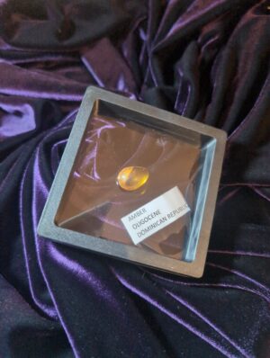 Burmese Amber with insect