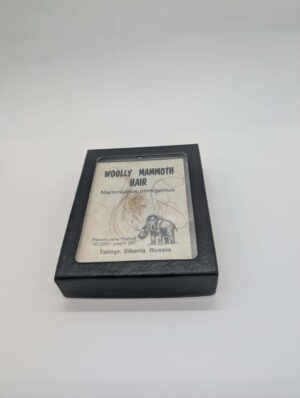 Authentic Wooly Mammoth Hair